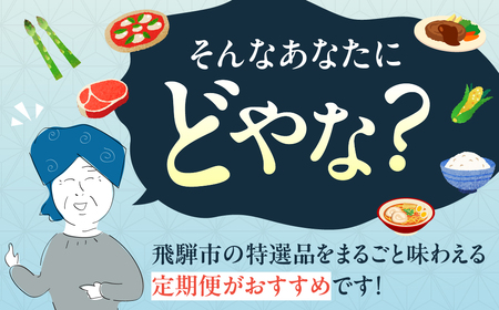 【定期便】どやな飛騨市 まるごと定期便 お届け 6回 定期便 偶数月 [Q3015_B]