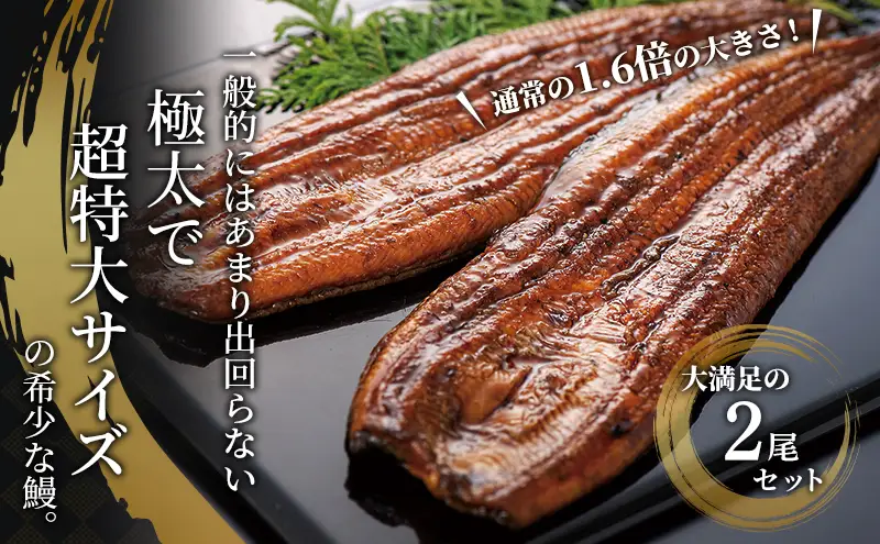 うなぎ 国産 超特大 長蒲焼き 2尾 400g以上 うなぎ
