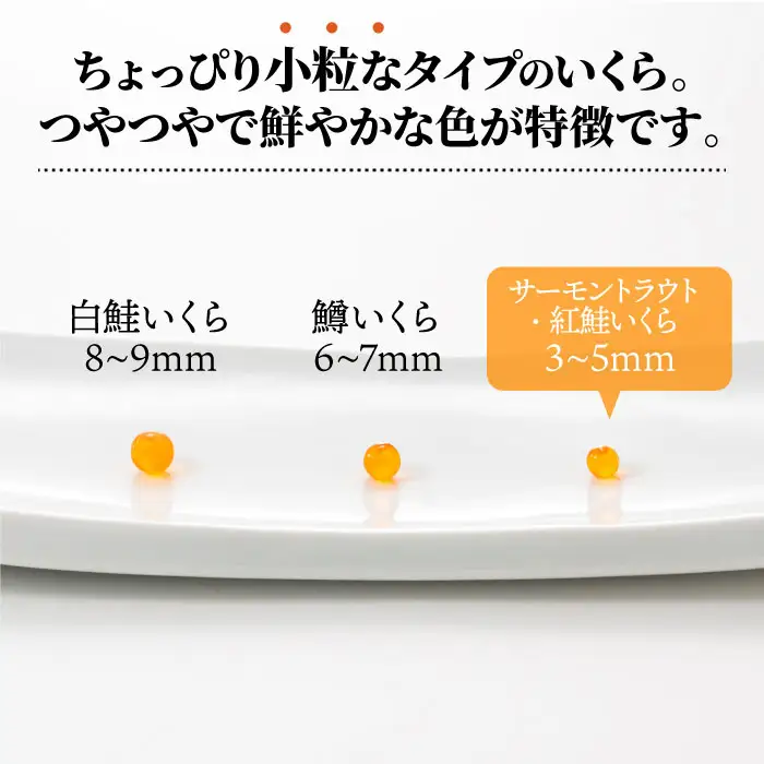 A1594.いくら醤油漬（サーモントラウト・紅鮭）400g（200g×2パック）