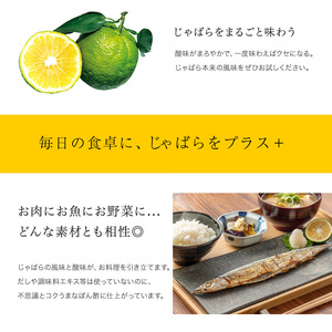 じゃばらポン酢じゃぽん 360ml×3本【njb361-m】