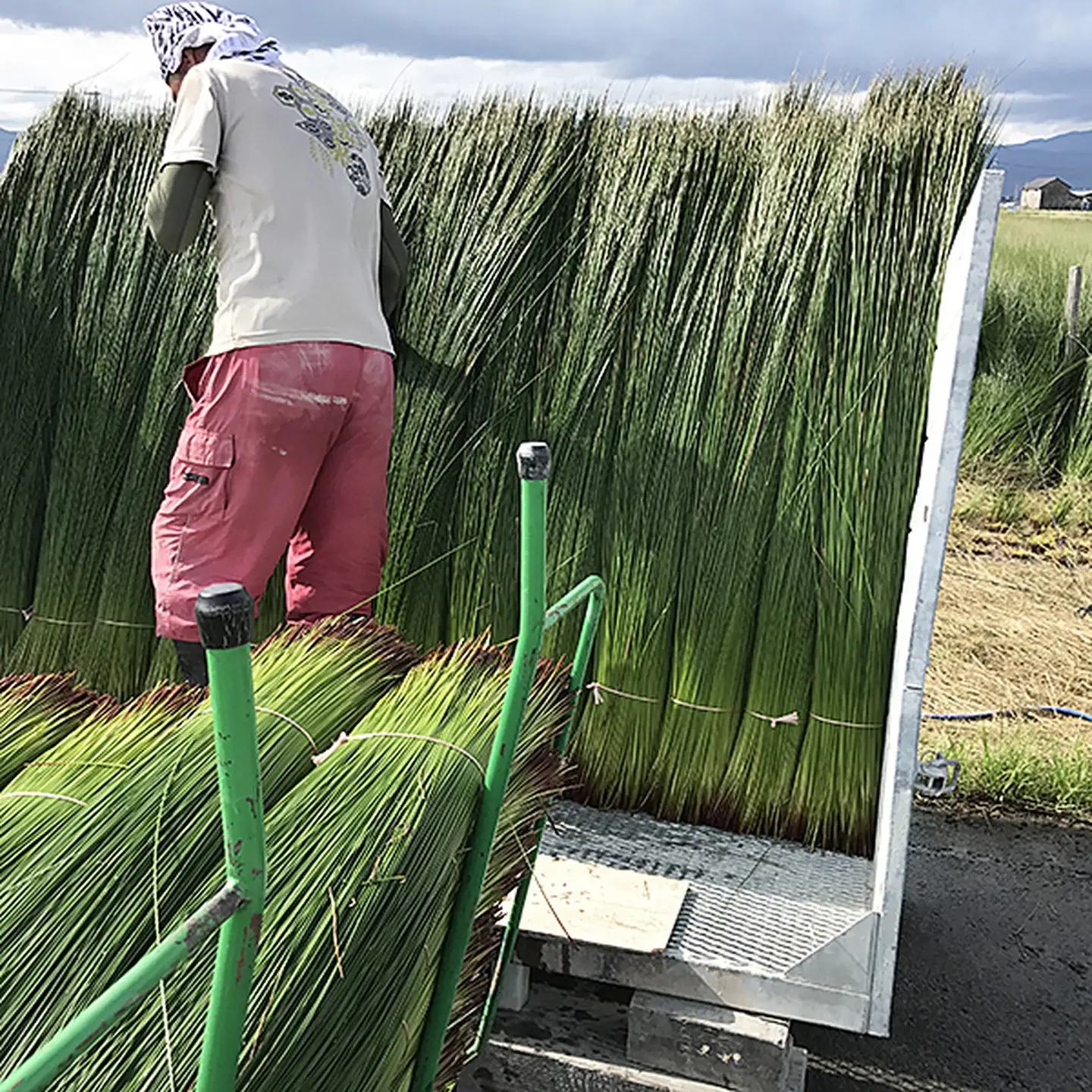 佐賀県産い草置き畳 82cm角1枚セット：B360-003