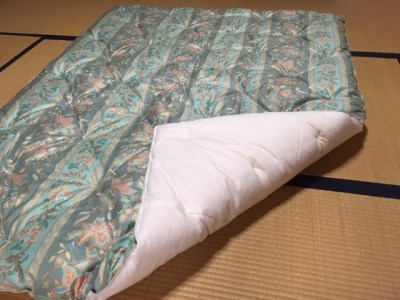 ゴージャスなコットン肌布団＜抗菌・防ダニ＞/シングル・グリーン