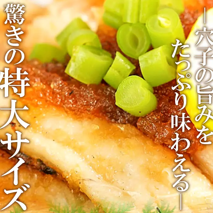 特大 あなご一夜干し 1尾 250g 「天女の羽衣」【穴子 一夜干し 250g 穴子干物 魚介類 魚 アナゴ 干物 特大 50cm 無添加 天日塩 新鮮 冷凍 真空パック 贈答 ギフト 父の日 母の日】