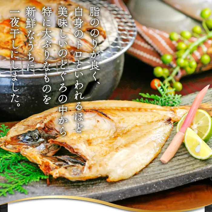 「旨みたっぷり」 のどぐろ一夜干し （3尾）【のどぐろ 1尾あたり101～130g のどぐろ干物 ノドグロ のど黒 あかむつ アカムツ 干物 個包装 小分け 真空パック 冷凍 父の日 母の日】