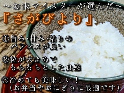 令和7年産 【定期便】無洗米 さがびより ２kg×３袋×１０回 999-B1053