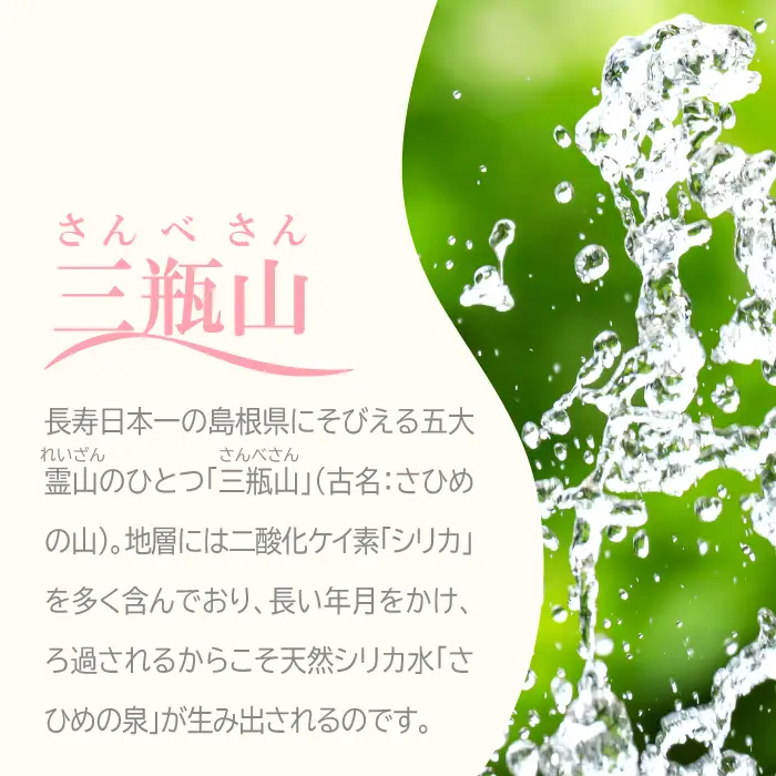 ナチュラルミネラルウォーター「さひめの泉」2L×6本×2箱【水・ミネラルウォーター 2000ml 水 2L 12本 天然水 ミネラルウォーター 軟水 シリカ水 シリカ ペットボトル】