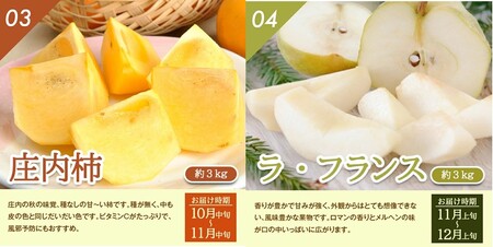 SF0319　【4回定期便】とれたて！フルーツ頒布会2026 (アンデスメロン、和梨、庄内柿、ラ・フランス)