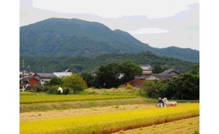 【令和7年産新米予約】ひとみちゃんちの「さがびより」10kg 046-B992