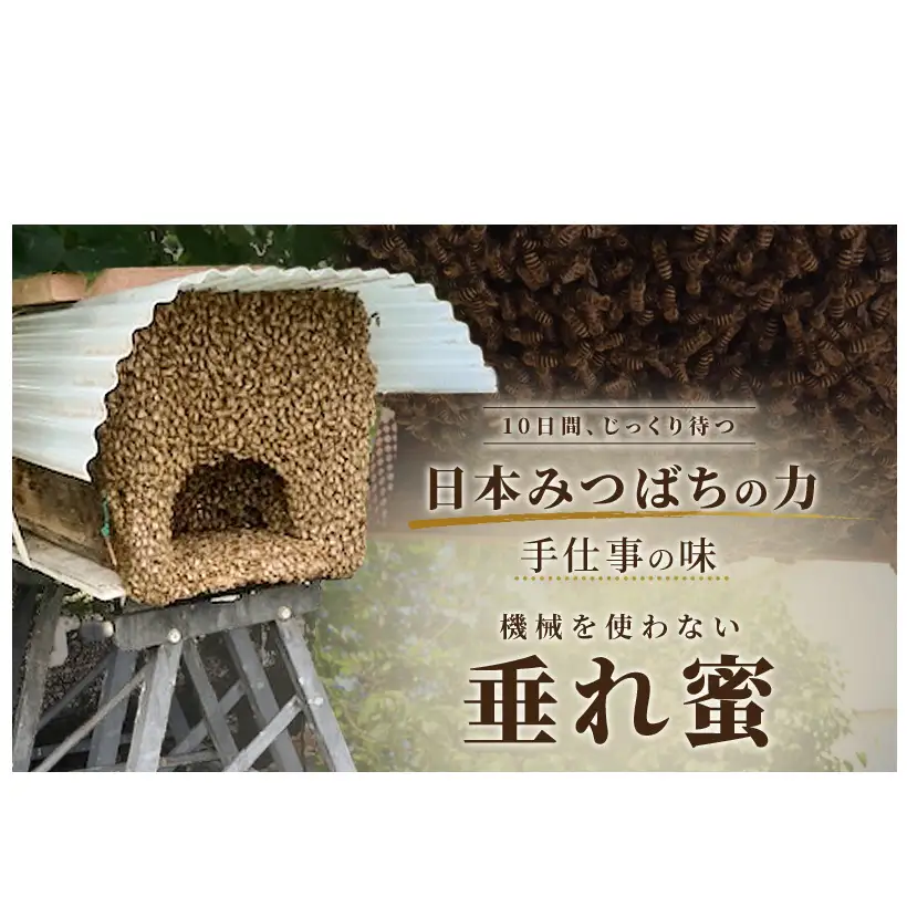 はちみつ日本みつばち 和蜂蜜（180g） はちみつ