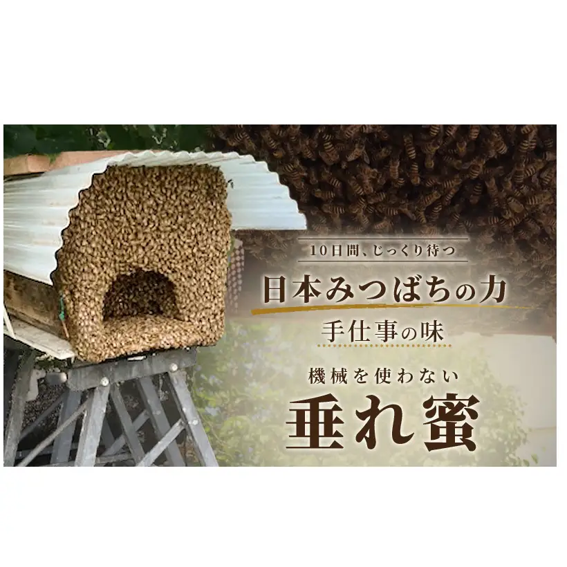 はちみつ日本みつばち 和蜂蜜（300g） はちみつ