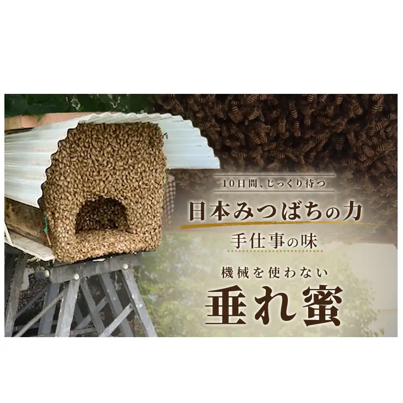 信州日本みつばち 和蜂蜜（600g）