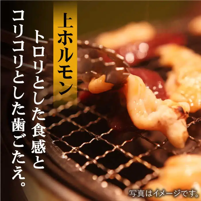 【味付】【大容量】プリプリで味わい深い！ホルモン専門店のホルモンセット900g（丸腸・上ホルモン・シマ腸各300g）【三田川ホルモン専門店】吉野ヶ里町 [FAC010]