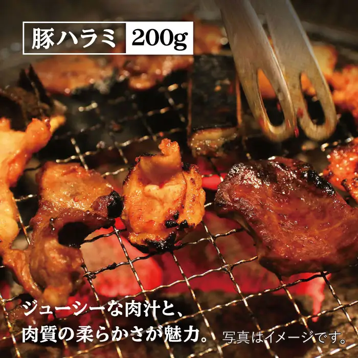 【味付】【大容量】ホルモン専門店の豪華！焼き肉4種セット計1kg（和牛ハラミ 400g ／ 豚ハラミ・丸腸・シマ腸 各200g） 吉野ヶ里町/三田川ホルモン専門店 [FAC011]