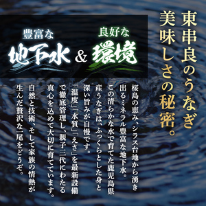東串良町のうなぎ蒲焼(無頭)(3尾・計約630g・タレ、山椒付)うなぎ 高級 ウナギ 鰻 国産 蒲焼 蒲焼き たれ 鹿児島 ふるさと 人気【アクアおおすみ】【0204356a】