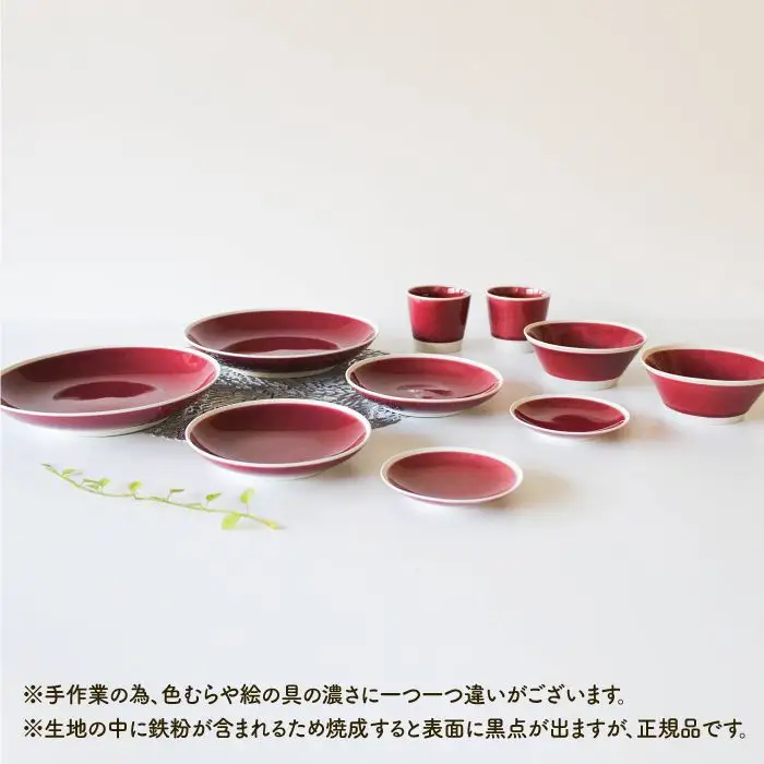 【波佐見焼】シャイニーカラー ワイン色（トルマリン）10点セット 皿 ボウル カップ 【陶芸ゆたか】 [VA56]  波佐見焼