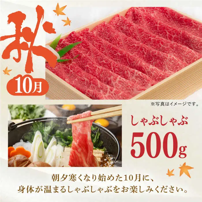 【全4回】【内閣総理大臣賞受賞！】長崎和牛 毎月お届けセット ( 希少部位アリ ) 500g×4回 [YA19]  肉 牛肉 ロース サーロイン ステーキ サーロインステーキ すき焼き しゃぶしゃぶ 焼肉 定期便