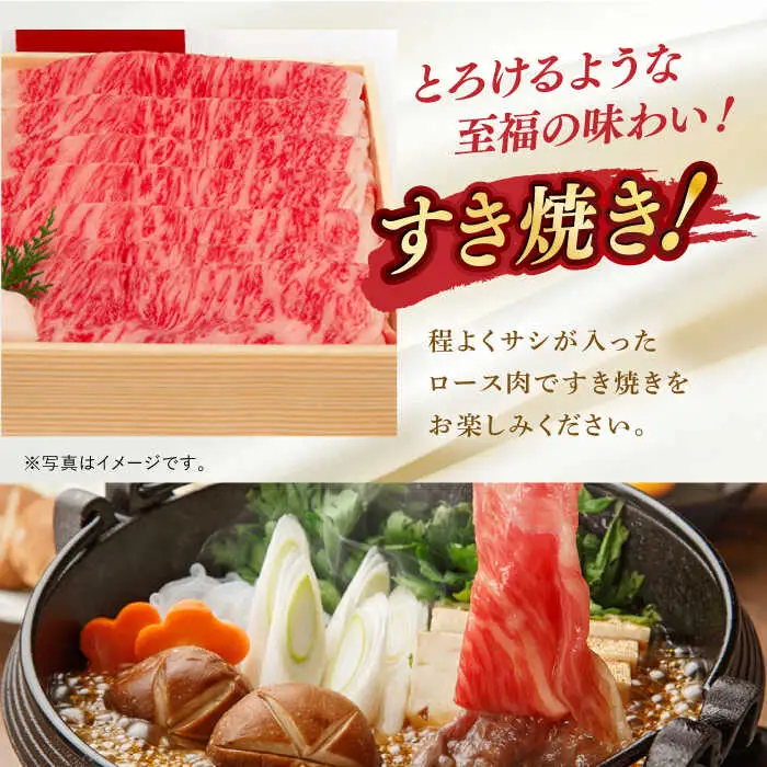 【全12回】【内閣総理大臣賞受賞！】長崎和牛 毎月お届けセット ( 希少部位アリ ) 1kg×12回 [YA21] 肉 牛肉 ロース サーロイン ステーキ サーロインステーキ レモンステーキ すき焼き しゃぶしゃぶ 焼肉 定期便