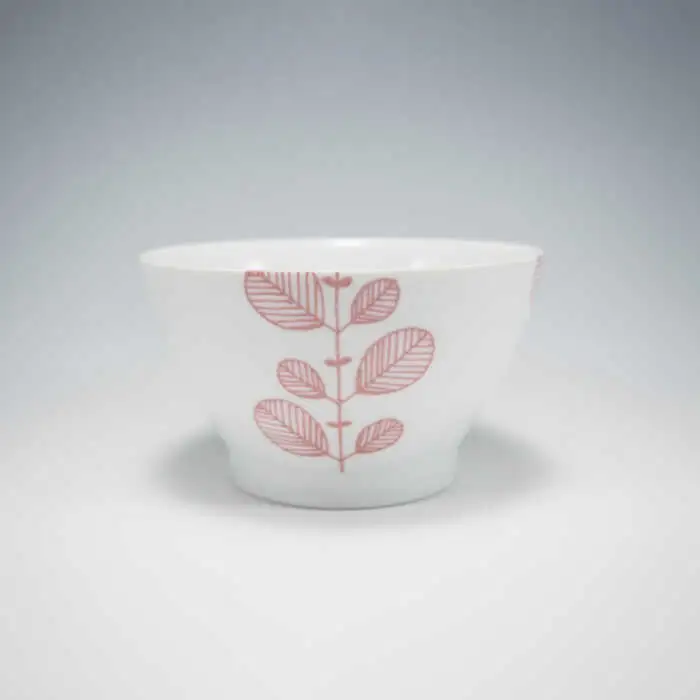 【波佐見焼】ミント 5色絵変わり 茶碗 食器 皿 【永泉】 [MC22]  波佐見焼