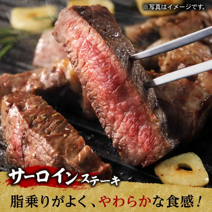 【全2回】A5 サーロイン ステーキ 220g×2枚 ロース スライス 300g しゃぶしゃぶ セット 長崎和牛【肉のあいかわ】 [NA61]  肉 牛肉 サーロインステーキ 焼肉 すき焼き 定期便