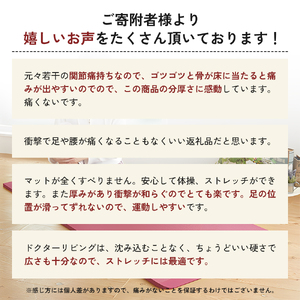 ヨガマット ドクターリビング トレーニング冊子付 ヨガマット