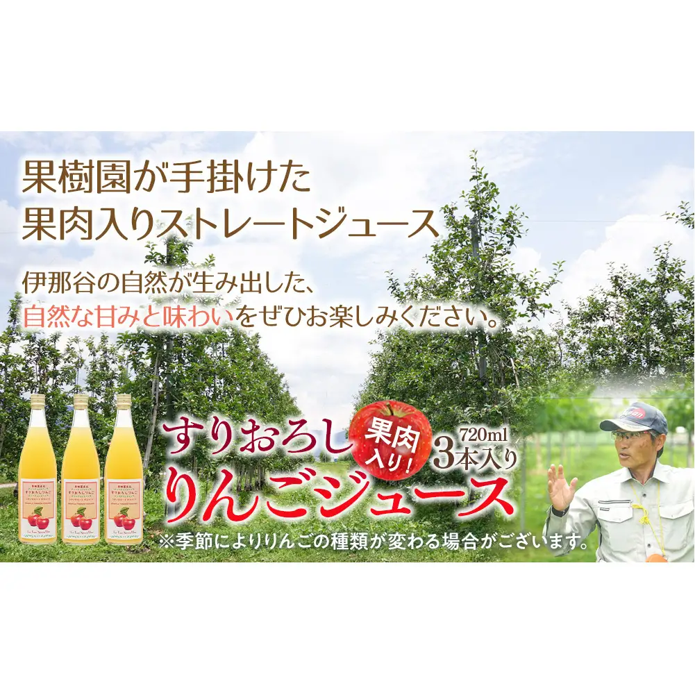 果肉入り！すりおろしりんごジュース 3本入り リンゴジュース りんご リンゴ 林檎 長野 フルーツ 果物 信州産 長野県産 特産 産地直送 おすすめ 
