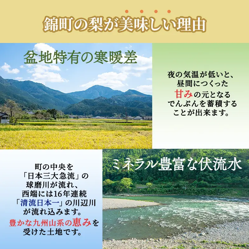 【ふるなびWEEK対象】定期便 2回 先行予約 梨 清流錦 あきづき 9月 3kg 新興 10月 5kg 2026年発送