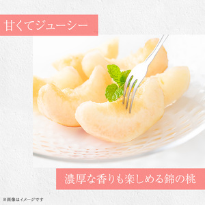 桃 白桃 先行予約 錦の桃 2kg 約5玉～9玉 もも モモ フルーツ 果物 デザート 2026年発送 鎌木果樹園 配送不可:離島 