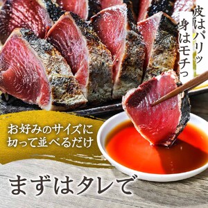 かつおのたたき 1.5kg 訳あり 冷凍 タレ・おろし生姜・柚塩付き≪ヤマシン≫【かつおのたたき】