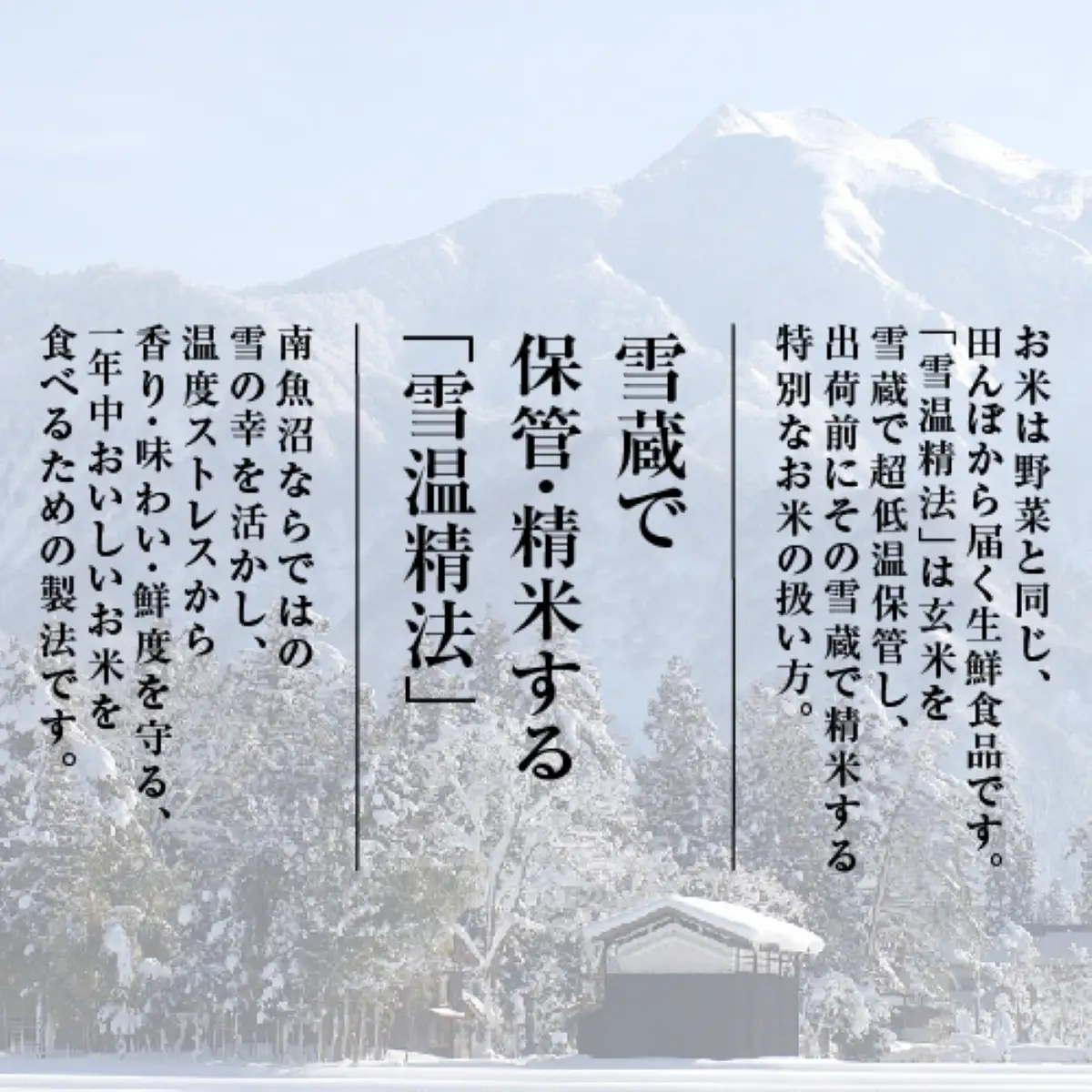 【令和7年　頒布会】南魚沼産コシヒカリ（5kg×全6回）契約栽培 雪蔵貯蔵米 |  コシヒカリ
