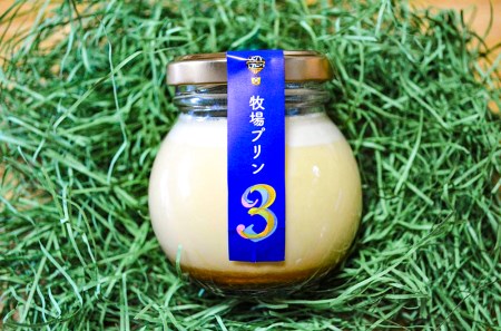 CK004_酪農家が本気で作った『牧場プリン”３”』４個★大富牧場フライングカウ
