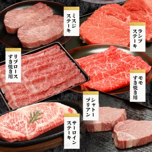 前沢牛定期便 シャトーブリアンが入った贅沢食べ比べ6カ月コース（全6回）離島配送不可 [U0084]