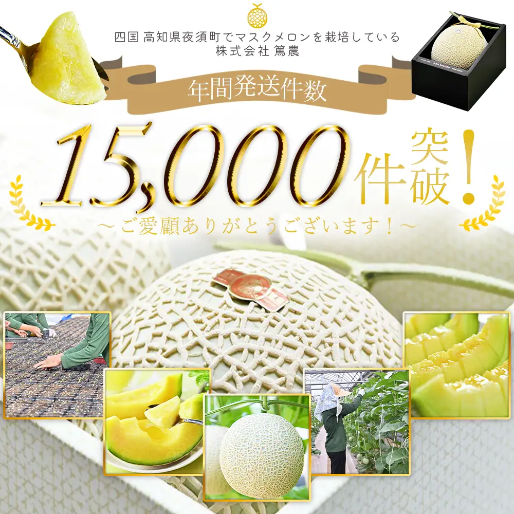 高知県香南市産 マスクメロン 2玉 【 国産メロン マスクメロン メロン メロン ハウスメロン 甘いメロン 】 tn-0012