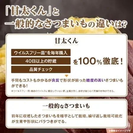 【11月下旬より順次発送】冷凍焼き芋「甘太くん」5本　1.75kg_紅はるか から厳選 1本350g以上の大きな 芋 小分け 真空パック ふるさと納税 さつまいも 冷凍焼き芋 やきいも 焼きいも ふるさと ランキング_【配送不可地域：離島】【1080341】