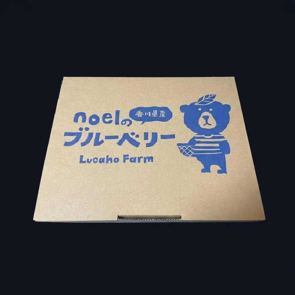 ブルーベリー Lucaho Farm 香川県産 ブルーベリー【100g×5p】【冷蔵】 【46312110】