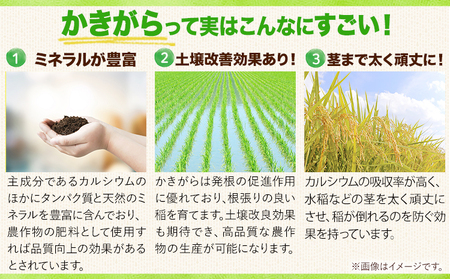 里海米3パック 計6kg 無洗米 長期保存可