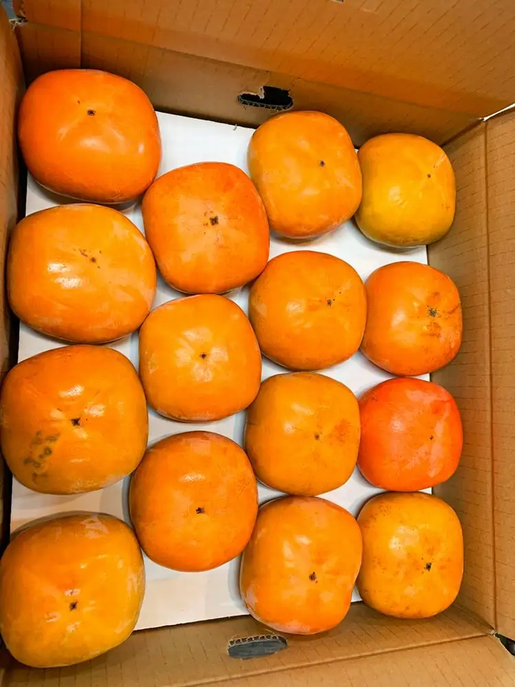 【2026年発送分予約】和歌山秋の味覚　平核無柿（ひらたねなしがき） 約7.5kg　※2026年10月上旬頃〜11月上旬頃に順次発送（お届け日指定不可）【uot700A】