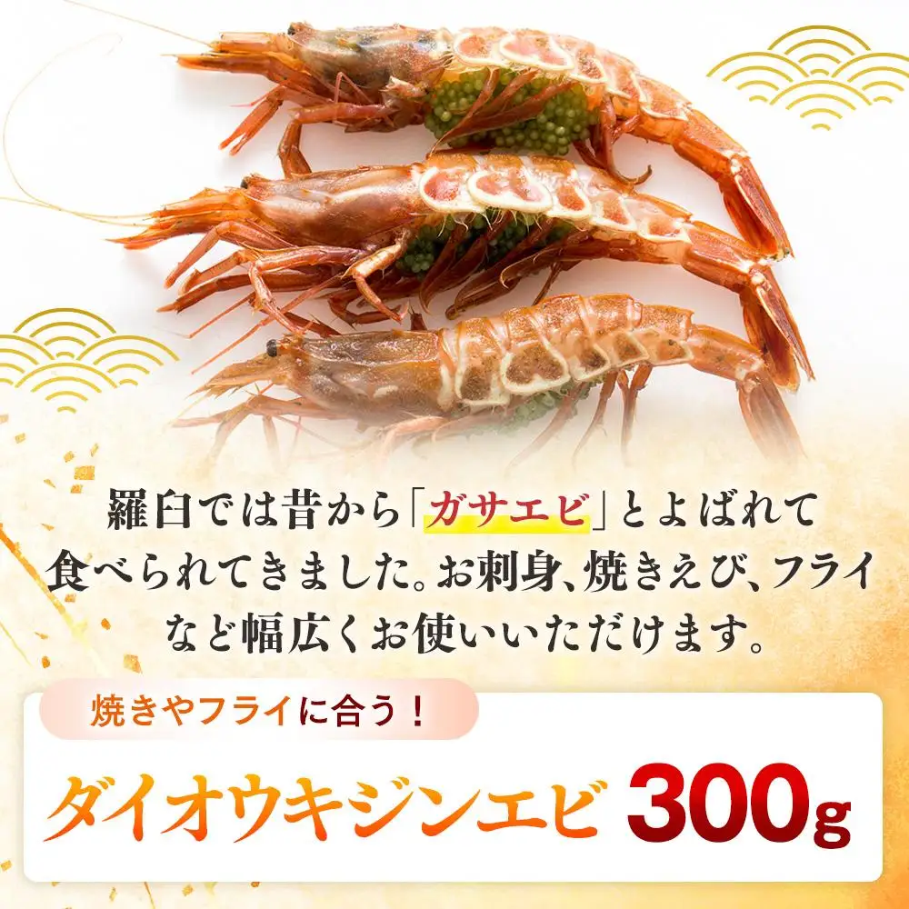 ダイオウキジンエビ 300g えび 知床 羅臼 国産 北海道