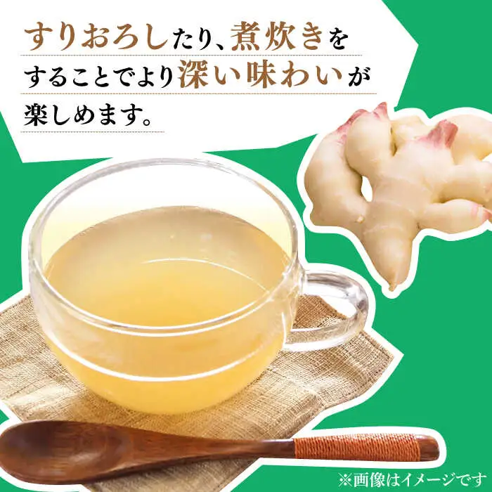 【2026年8月?発送】 新生姜 約1kg / ショウガ しょうが 生姜 / 南島原市 / ふくはちファーム/福島農園 [SBS015]