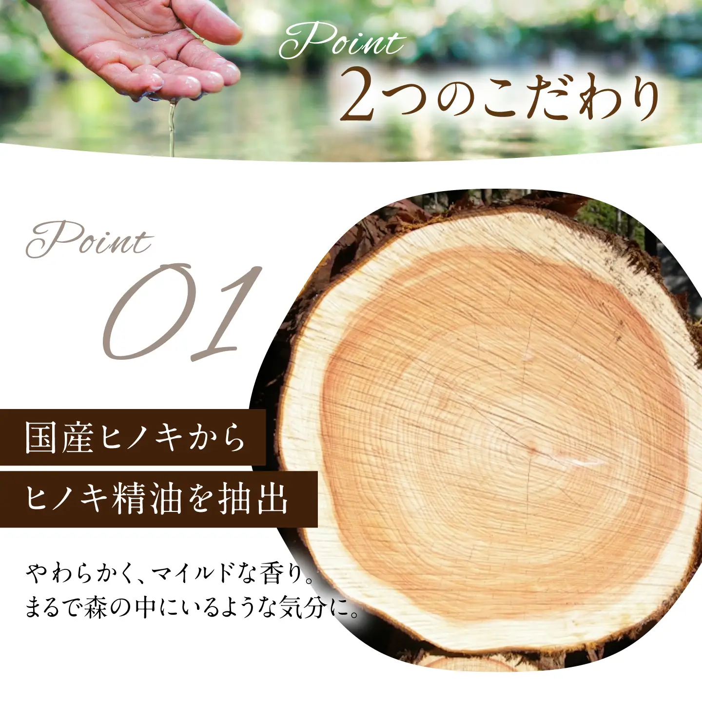 石けん 桧ボディソープ 1本 [BRBC036]