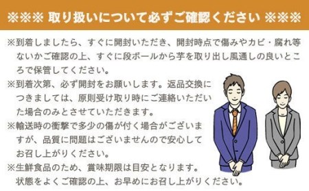 つくばみらい市産　熟成紅はるか生いも　１０ｋｇ（無選別）