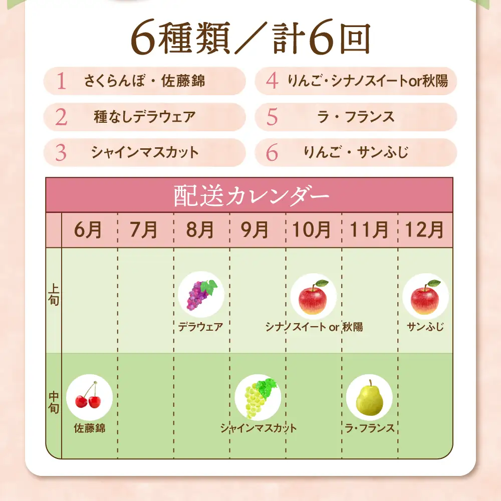 令和9年産 旬のフルーツ 6回 定期便 山形 果物 定期便