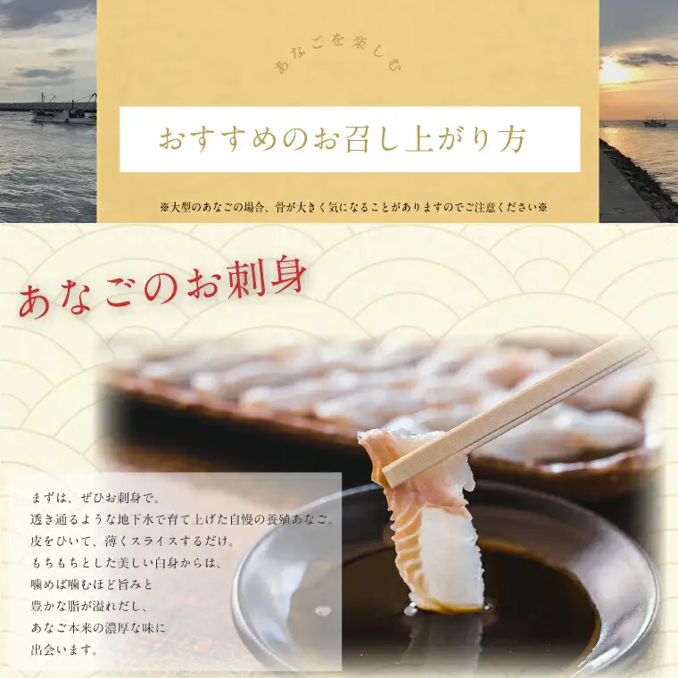 あなごの開き 穴子 あなご アナゴ 生 冷蔵 養殖 すし 寿司 刺身 白焼き 天ぷら 煮物 かば焼き 限定 旨味 ふわふわ I7