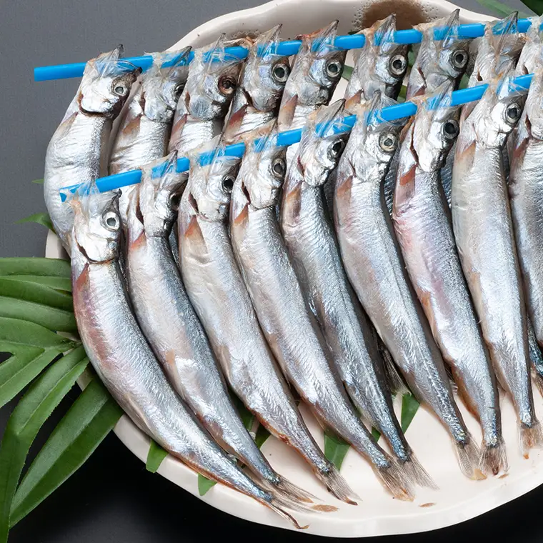 ししゃも 子持ち カラフトシシャモ 特大 40尾（20尾×2箱） 子持ちシシャモ カラフトししゃも 大洗_AV001