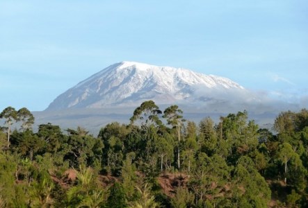 【コーヒー定期便】Go To 世界のコーヒー産地　6ヶ月コース(豆) 珈琲 ブレンド豆  定期便 珈琲 
