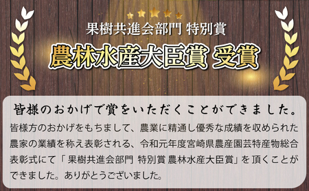 【先行予約】【数量限定】《訳あり》 農林水産大臣賞受賞農園！温室せとか20～24玉(サイズ混合)約5kg_K002-001