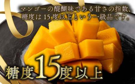 糖度15度以上の宮崎完熟マンゴー(5L×1玉入・贈答用) ＜ギフト用＞1箱_K005-011