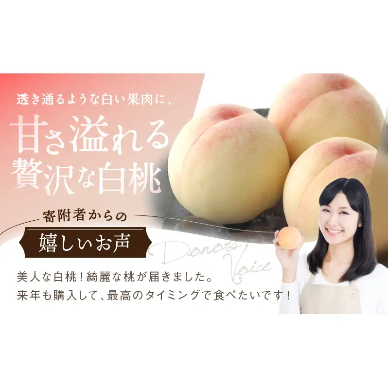 桃 2026年 先行予約 白桃 3玉 合計約800g もも モモ 岡山県産 国産 フルーツ 果物 ギフト