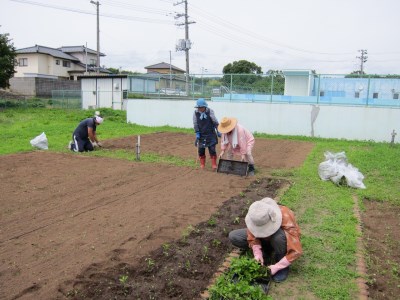 【限定5枚】藍染めストール（絹）～かろやかショール～　ならは藍染め会【ストール 藍染め 絹 ストール 藍染め シルク ストール 藍染め ギフト ストール 藍染め 贈り物 ストール 藍染め プレゼント ストール 藍染め 敬老の日 ストール 藍染め 藍 ストール 藍染め 手作り ストール 藍染め 手染め ストール 藍染め ハンドメイド ストール 藍染め 鮮やか ストール 藍染め 福島 ストール 藍染め 楢葉 ストール 藍染め ファッションストール 藍染め 】