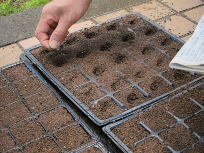 藍染めストール【数量限定】ストライプショール房付き（絹）ならは藍染め会【ギフトラッピング ストール 藍染め 絹】福島県 楢葉町