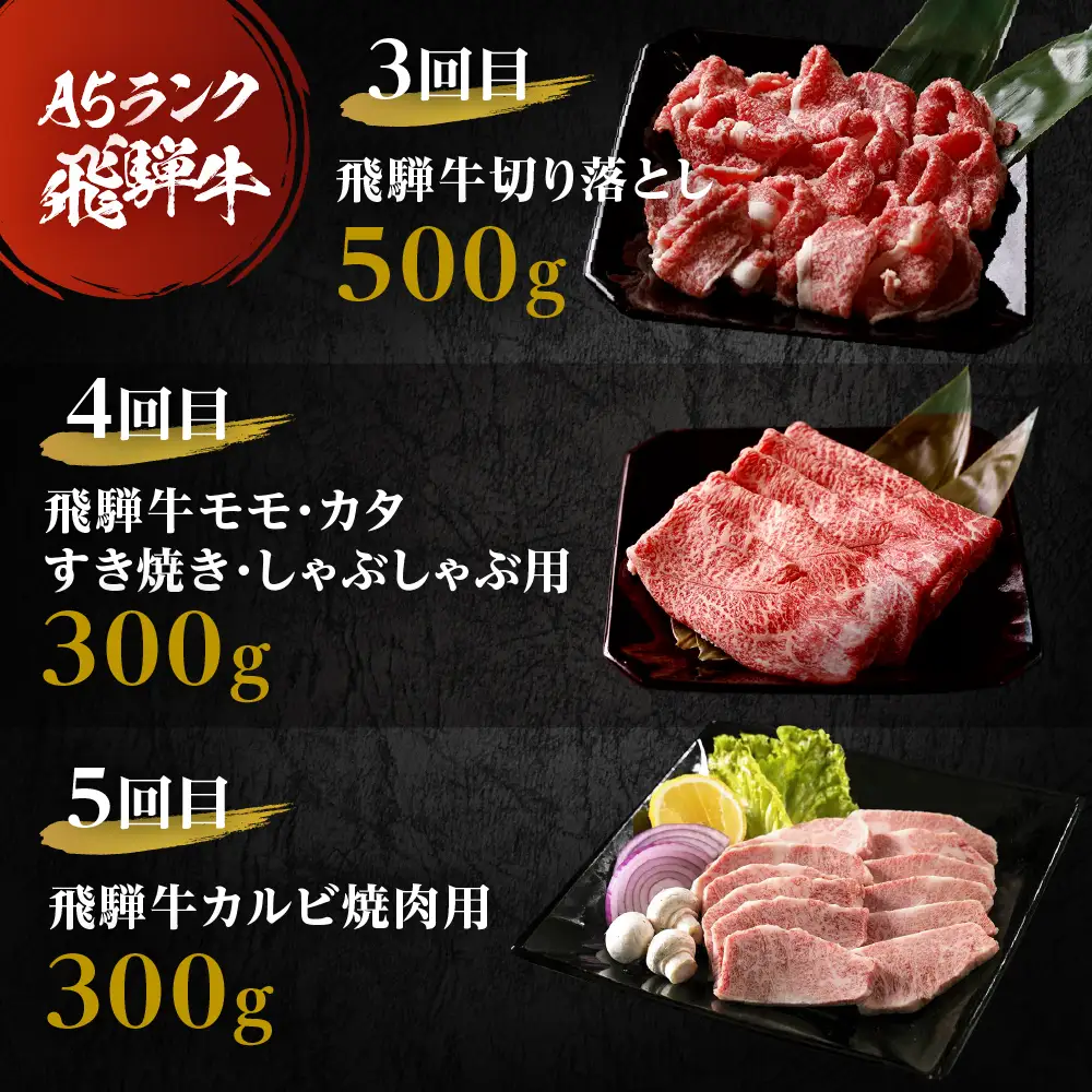A5飛騨牛 定期便 5回 ちょこちょこお届け 牛肉｜ 定期便 